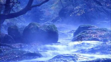 皇室派对夜